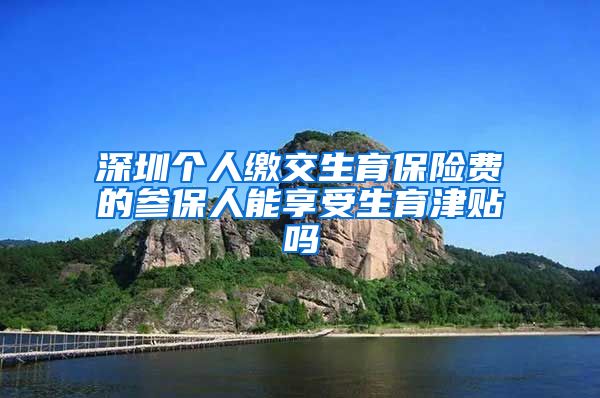 深圳个人缴交生育保险费的参保人能享受生育津贴吗