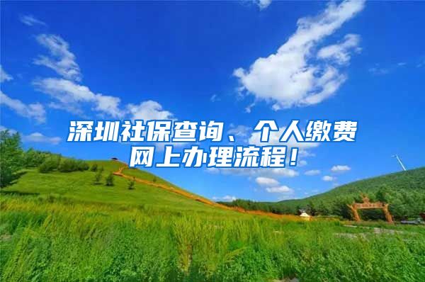 深圳社保查询、个人缴费网上办理流程！