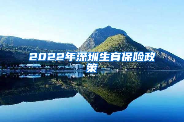 2022年深圳生育保险政策