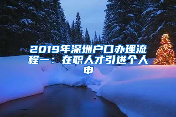 2019年深圳户口办理流程一：在职人才引进个人申