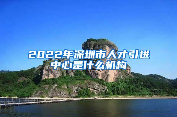 2022年深圳市人才引进中心是什么机构