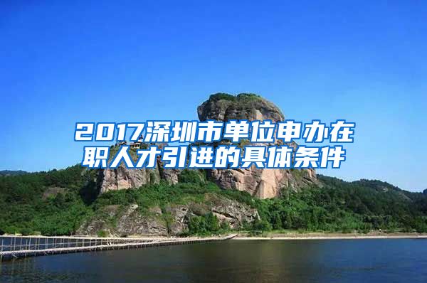 2017深圳市单位申办在职人才引进的具体条件