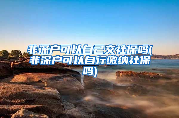 非深户可以自己交社保吗(非深户可以自行缴纳社保吗)