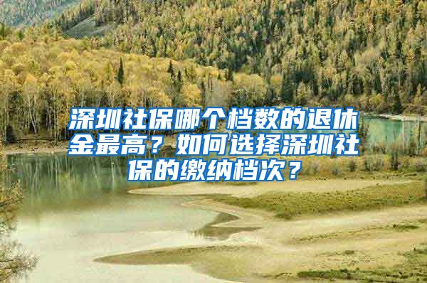 深圳社保哪个档数的退休金最高？如何选择深圳社保的缴纳档次？