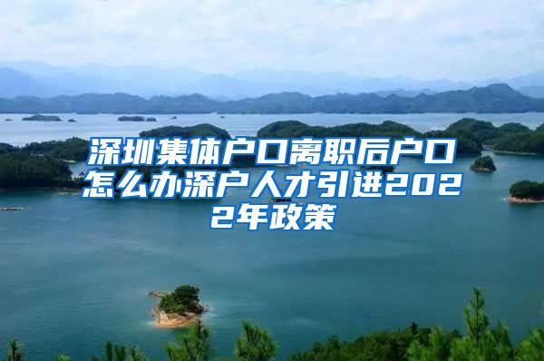 深圳集体户口离职后户口怎么办深户人才引进2022年政策