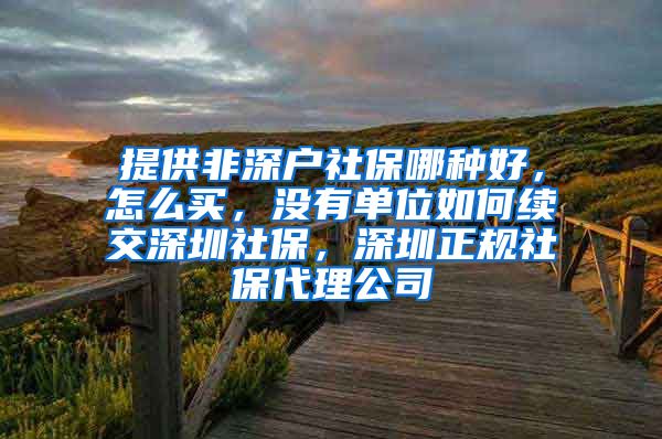 提供非深户社保哪种好，怎么买，没有单位如何续交深圳社保，深圳正规社保代理公司