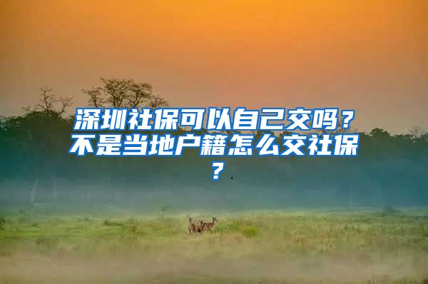 深圳社保可以自己交吗？不是当地户籍怎么交社保？