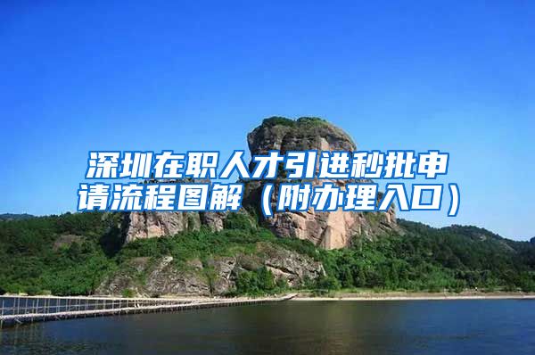 深圳在职人才引进秒批申请流程图解（附办理入口）