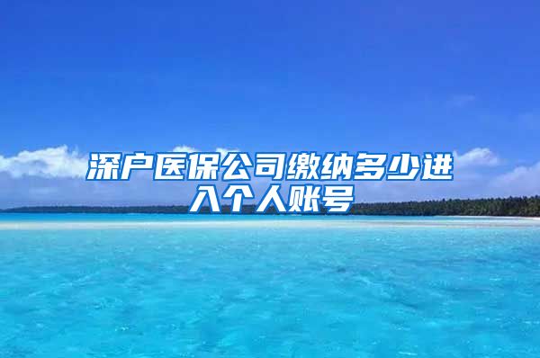 深户医保公司缴纳多少进入个人账号