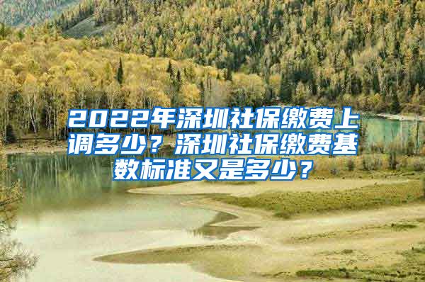 2022年深圳社保缴费上调多少？深圳社保缴费基数标准又是多少？