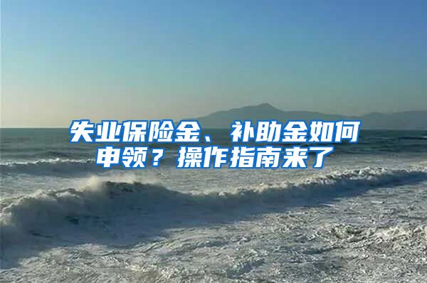 失业保险金、补助金如何申领？操作指南来了