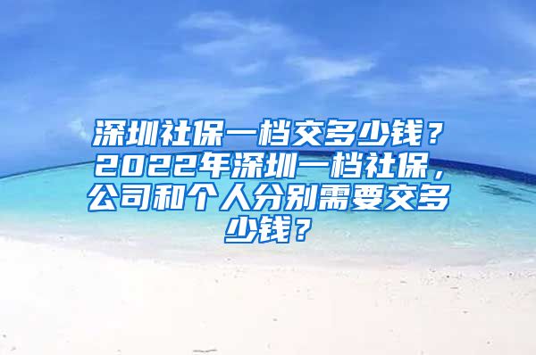 深圳社保一档交多少钱？2022年深圳一档社保，公司和个人分别需要交多少钱？