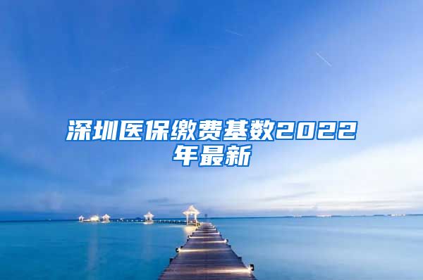 深圳医保缴费基数2022年最新