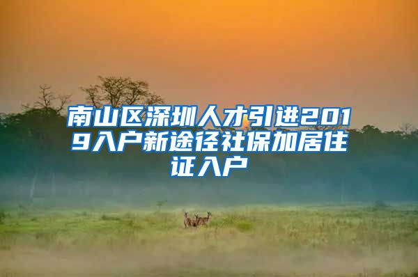 南山区深圳人才引进2019入户新途径社保加居住证入户