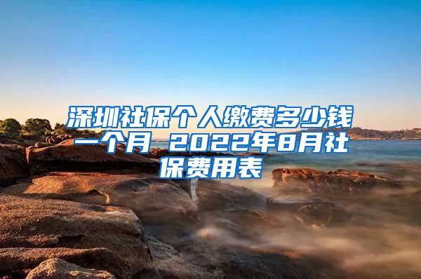 深圳社保个人缴费多少钱一个月 2022年8月社保费用表