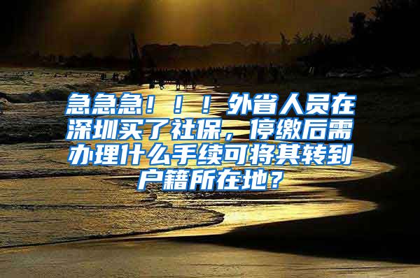 急急急！！！外省人员在深圳买了社保，停缴后需办理什么手续可将其转到户籍所在地？