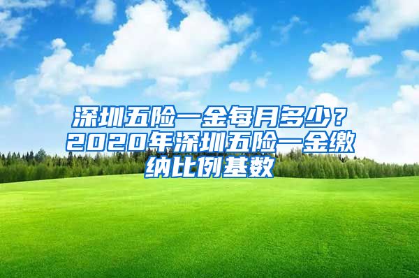 深圳五险一金每月多少？2020年深圳五险一金缴纳比例基数