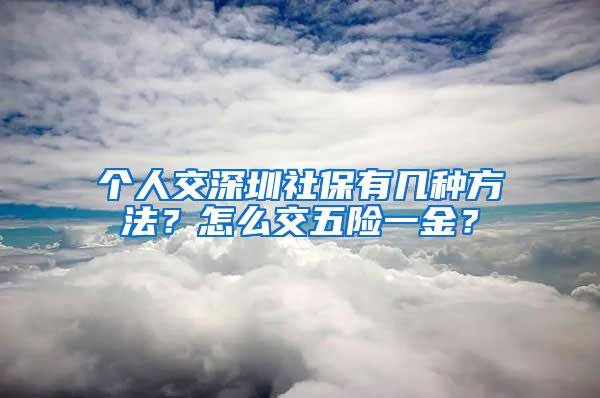 个人交深圳社保有几种方法？怎么交五险一金？