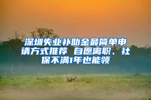 深圳失业补助金最简单申请方式推荐 自愿离职、社保不满1年也能领