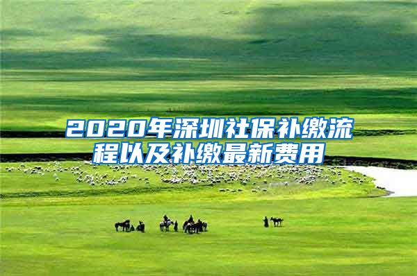 2020年深圳社保补缴流程以及补缴最新费用