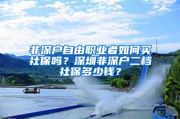 非深户自由职业者如何买社保吗？深圳非深户二档社保多少钱？