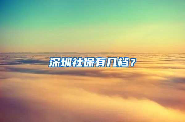 深圳社保有几档？