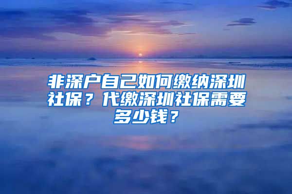 非深户自己如何缴纳深圳社保？代缴深圳社保需要多少钱？