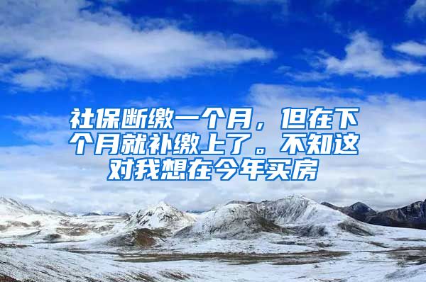 社保断缴一个月，但在下个月就补缴上了。不知这对我想在今年买房