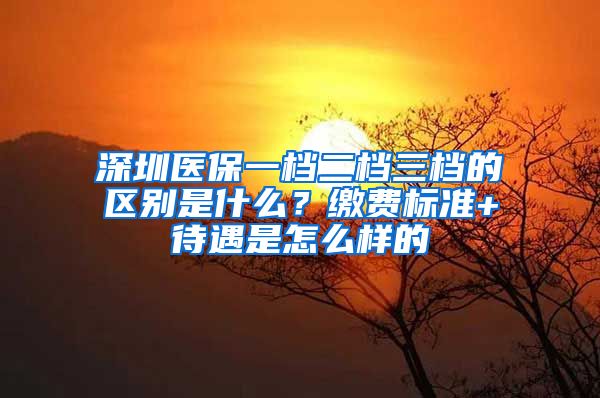 深圳医保一档二档三档的区别是什么？缴费标准+待遇是怎么样的