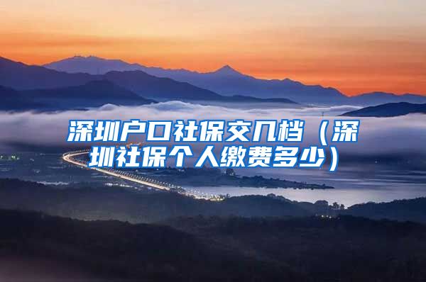 深圳户口社保交几档（深圳社保个人缴费多少）