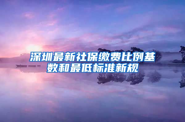 深圳最新社保缴费比例基数和最低标准新规