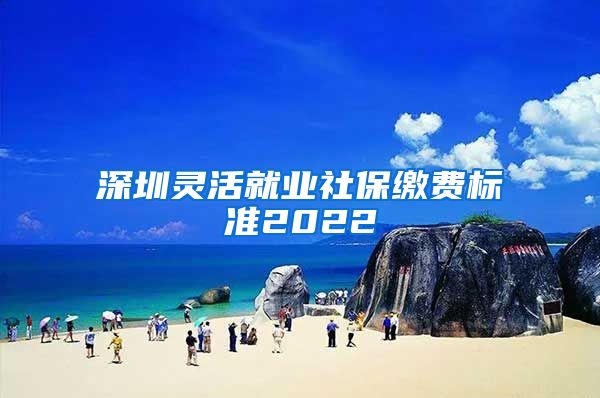 深圳灵活就业社保缴费标准2022