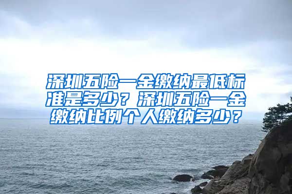 深圳五险一金缴纳最低标准是多少？深圳五险一金缴纳比例个人缴纳多少？