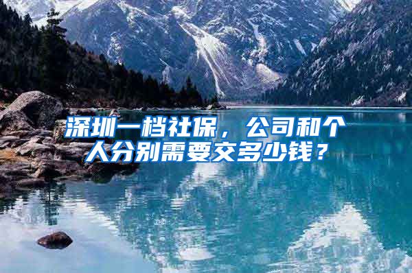 深圳一档社保，公司和个人分别需要交多少钱？