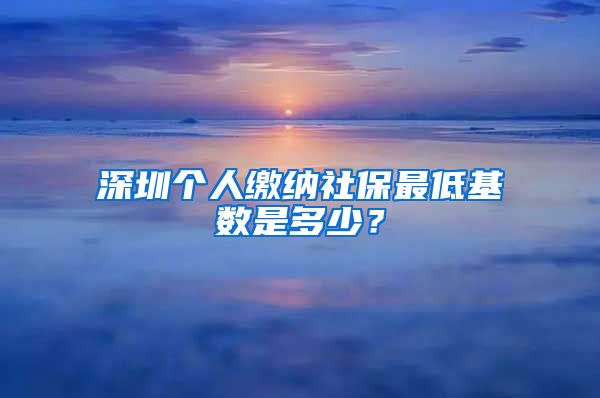 深圳个人缴纳社保最低基数是多少？