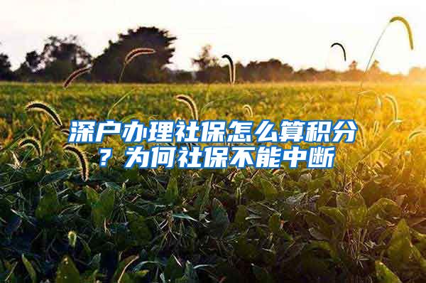 深户办理社保怎么算积分？为何社保不能中断