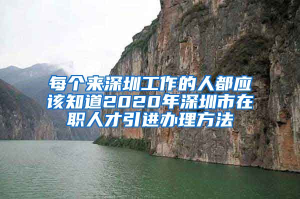 每个来深圳工作的人都应该知道2020年深圳市在职人才引进办理方法