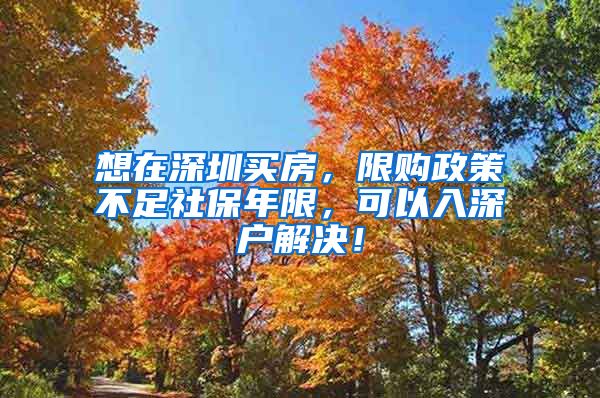 想在深圳买房，限购政策不足社保年限，可以入深户解决！