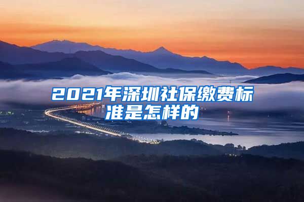 2021年深圳社保缴费标准是怎样的