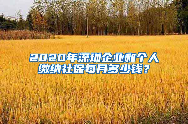 2020年深圳企业和个人缴纳社保每月多少钱？