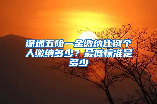 深圳五险一金缴纳比例个人缴纳多少？最低标准是多少