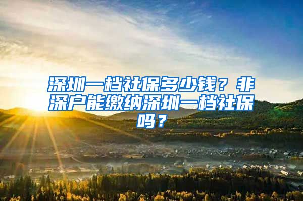 深圳一档社保多少钱？非深户能缴纳深圳一档社保吗？