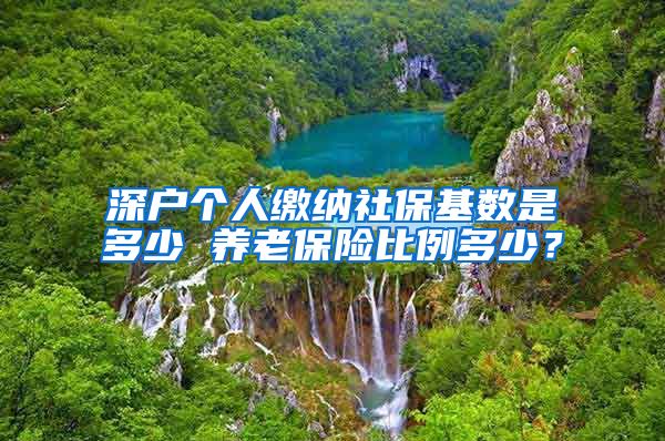 深户个人缴纳社保基数是多少 养老保险比例多少？