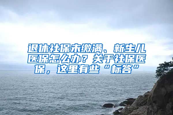 退休社保未缴满、新生儿医保怎么办？关于社保医保，这里有些“标答”