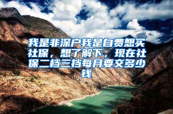 我是非深户我是自费想买社保，想了解下，现在社保二档三挡每月要交多少钱