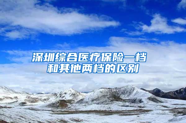 深圳综合医疗保险一档 和其他两档的区别