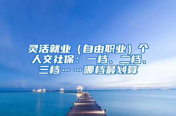 灵活就业（自由职业）个人交社保：一档、二档、三档……哪档最划算