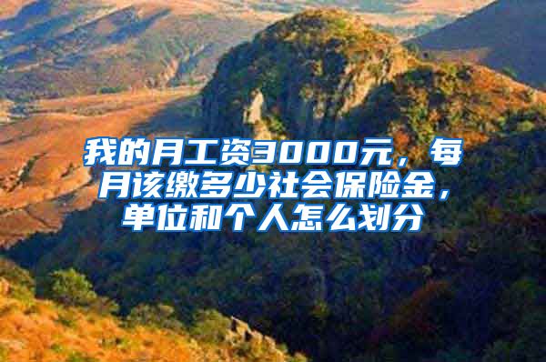 我的月工资3000元，每月该缴多少社会保险金，单位和个人怎么划分