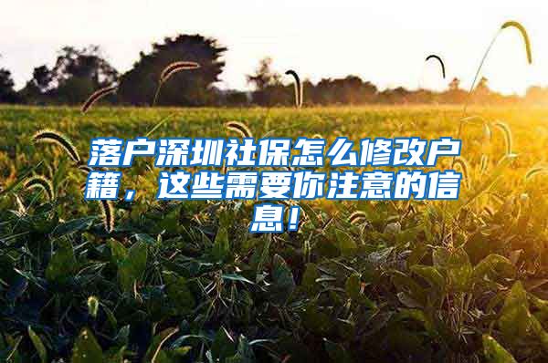 落户深圳社保怎么修改户籍，这些需要你注意的信息！