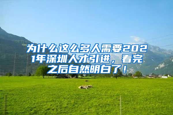 为什么这么多人需要2021年深圳人才引进，看完之后自然明白了！